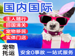 石家庄国际宠物托运 【国